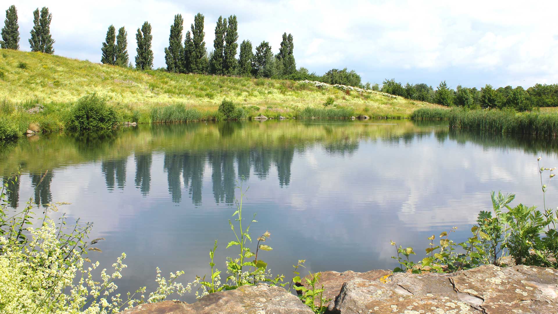 Gewässer 